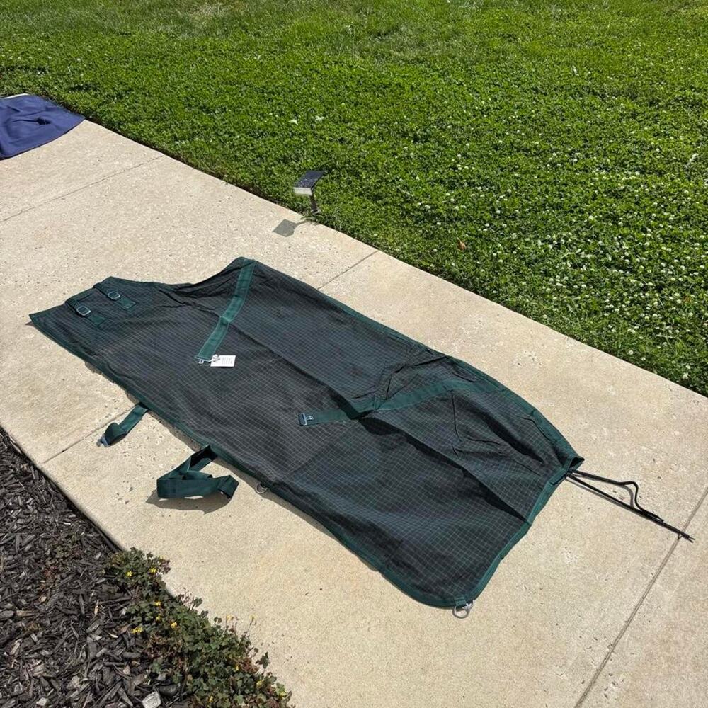 Cotton check summer horse sheet